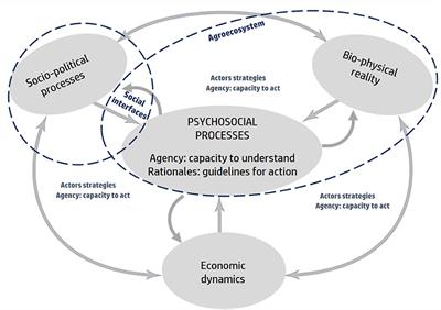 Theoretical and Conceptual Considerations for Analyzing Social Interfaces in Agroecosystems